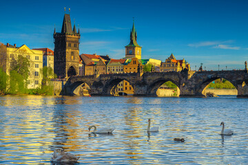 Prague cityscape with swans on the Vltava river, Czech Republic