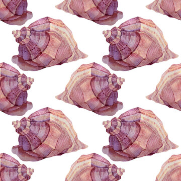 Seamless pattern watercolor hand-drawn pink and brown sea shell on white background. Art creative nature object for sticker, card, wallpaper, textile, wrapping, florist