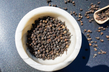 Kubeben-Pfeffer (auch Kubenenpfeffer) oder Stiel-Pfeffer (Piper cubeba)