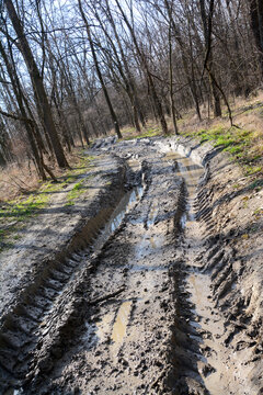 Image of a muddy offroad track in the forest