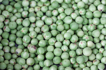 Turkey berry is vegetable used as an ingredient in cooking for background.