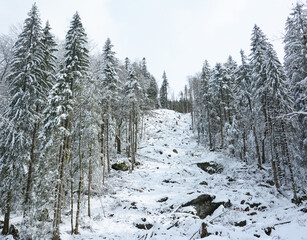 Mountain deforest - winter landscape