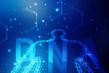 2d illustration Human Male Muscle Body