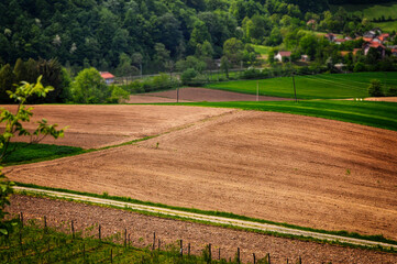 Countryside landscape with green meadow and green forest at spring day.