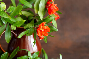 Branch of blooming pomegranate tree in brown clay jug. Copy space