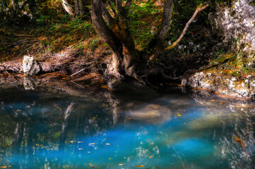 Fototapeta premium Calm emerald green water of mountain river passing by under forest surroundings.