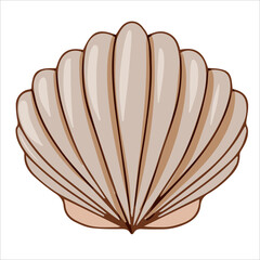 beautiful seashell vector illustration isolated on white background