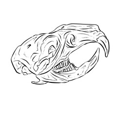 Black Line Art Sketch of an Animal Skull On White Background