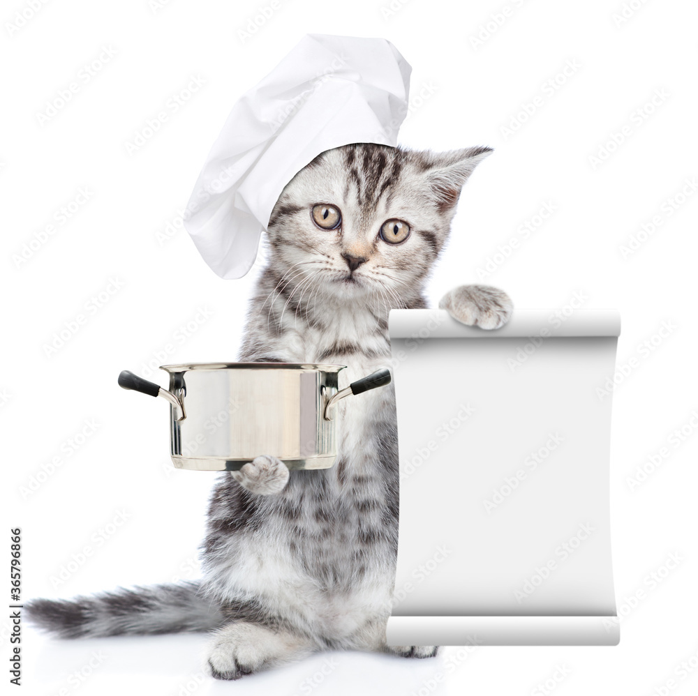 Poster Kitten wearing chef's hat holds a pan and an empty list. isolated on white background