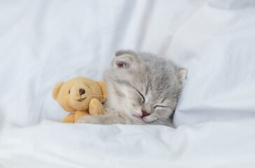 Cute kitten sleeps under blanket on a bed at home and hugs favorite toy bear. Top down view