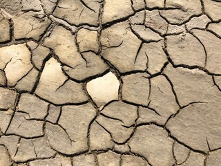 ‎⁨Parc naturel régional de Camargue⁩, ⁨Arles⁩, ⁨Provence-Alpes-Côte d'Azur⁩, ⁨France⁩