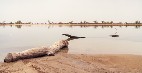 Peaceful african landscape near Sine Saloum, Senegal, Africa. - 365798223