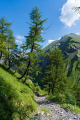 Fototapeta na wymiar Schweiz Weisstannental Wandern