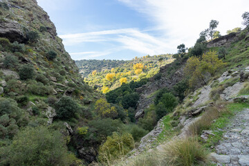 Fototapeta na wymiar river running through mountains of stone and vegetation