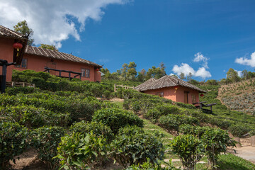 Fototapeta na wymiar Traditional Chinese style hut in the Tea farm at Rak Thai Village, Thailand