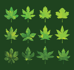 Fototapeta na wymiar Green tree leaves abstract