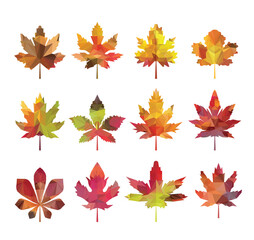 Color leaves icon vector set isolated on white background