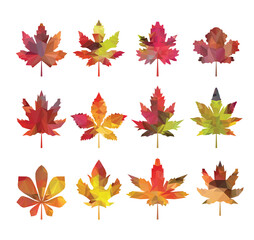 Color leaves icon vector set isolated on white background