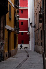 Walking the dog in Valencia