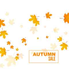 Abstract autumn background with yellow and orange leaves of maple. Vector sale banner with withered foliage.