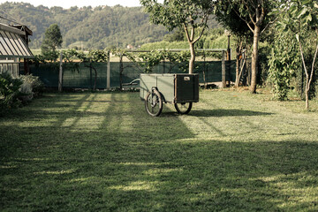 Fototapete bei efototapeten.de bestellen   