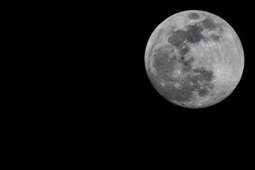 Large full moon, 100% Illumination of lunar disk, seen from Eastern Europe, North hemispere, 700 mm focal lenght. Copy space for text right on black background. Astronomy, astrology, science.