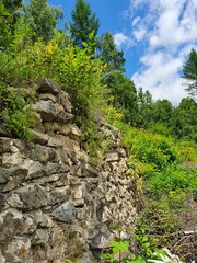 stone path in the forest