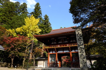 女人高野 室生寺  Woman koya Muroji Temple