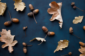 Autumn vibes. Pattern made of dried oak leaves and acorns on dark background. Seasonal background,...