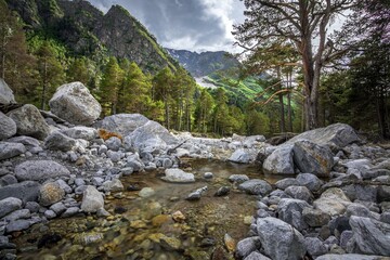 Stony riverbed of Adyl Su river with clean water, high green Caucasus mountains and evergreen forests are on the background. Kabardino-Balkaria, Russia.