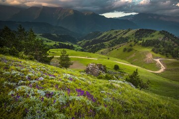 Fototapety na wymiar - Fototapeta24.pl