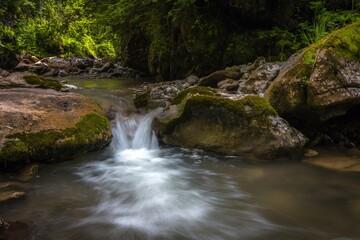 Beautiful Kurjips (Kurdzips) river flowing in shadow under big green trees between big rocks. Lagi Naki plateau in the Caucasus mountains, Russia.