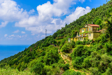 Fototapeta na wymiar Hiking in beautiful landscape scenery between villages of Cinque Terre National Park at Coast of Italy. Province of La Spezia, Liguria, in the north of Italy - Travel destination for hiking 
