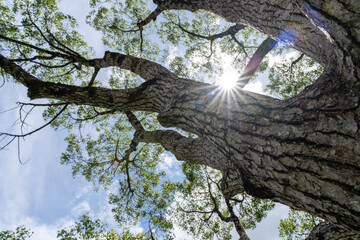 公園で撮った青空