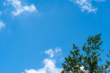 公園で撮った青空