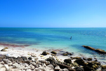 Fototapeta na wymiar Beautiful Seascape Key West, Florida