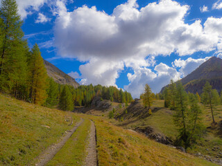 chemin de montagne randonn&eacute;e