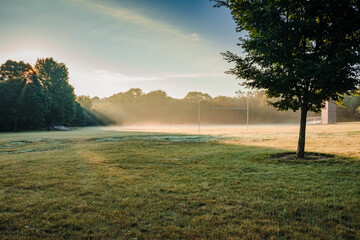 Obraz premium a foggy football field in the park at sunrise