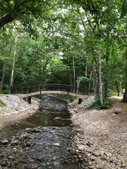 A small bridge over a river with stones in the forest, connecting two land areas