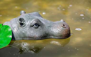Fototapeta premium Natur, Urlaub