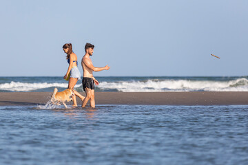 A young pretty couple and a dog playing at the beach and walking by the shore