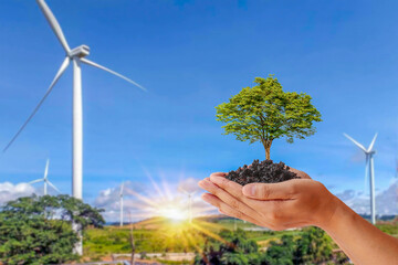 A small tree that grows in the hands of people against the backdrop of wind turbines to generate electricity, the concept of preserving nature and using environmentally friendly energy.