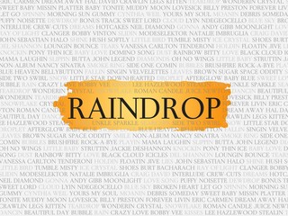 raindrop