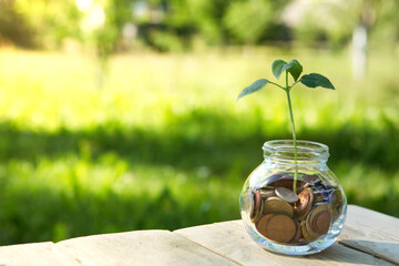 Glass jar with coins, on a wooden table, on a natural background. A sticker for writing.