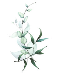 Watercolor hand painted turquoise and green leaves, eucalyptus delicate bouquet. Isolated floral arrangement on white background