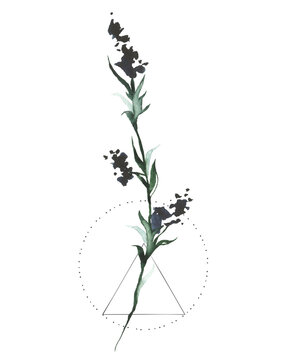 recommend clip art: Watercolor hand painted black lavender and geometric line art. Isolated floral arrangement on white background