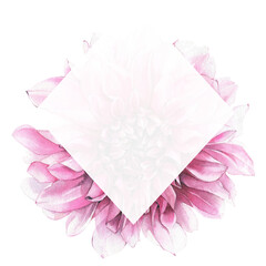 Watercolor hand painted pink dahlia frame. Isolated floral arrangement on white background