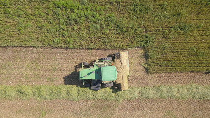 Fototapeta na wymiar Combine harvesting Wheat for silage in a massive agriculture field.