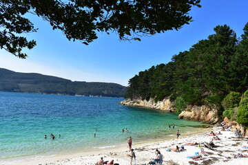 Fototapeta premium tropical beach in thailand