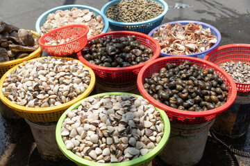trays of different snail varieties in a Vietnamese street market